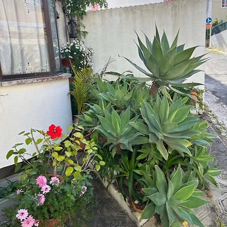 Bela Vista Apartamento Estoril Cascais Dış mekan fotoğraf