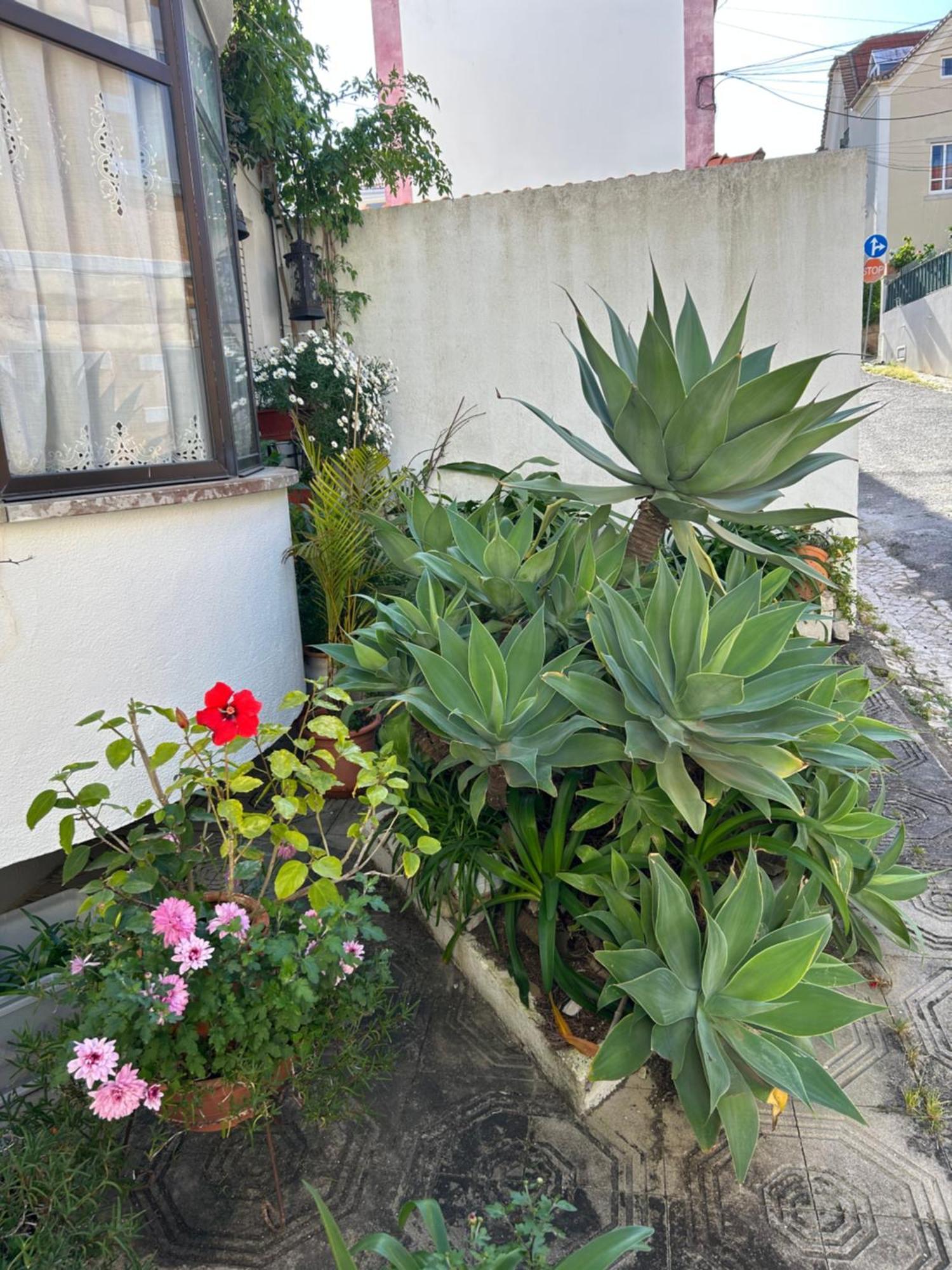 Bela Vista Apartamento Estoril Cascais Dış mekan fotoğraf